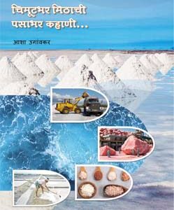 चिमूटभर मिठाची पसाभर कहाणी - Chimutbhar Mithachi Pasabhar Kahani