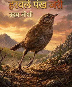 हरवले पंख जरी - Haravale Pankh Jari